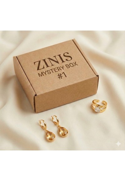 ZINIS Mystery Box #1 – The Single Treat