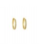 Σκουλαρίκια Excite Fashion Jewellery επιχρυσωμένο ασήμι 925, κρικάκια με λευκά ζιργκόν. S-40-AS-G-71 Κοσμήματα Σκουλαρίκια Excite Fashion Jewellery επιχρυσωμένο ασήμι 925, κρικάκια με λευκά ζιργκόν. S-40-AS-G-71 Κοσμήματα
