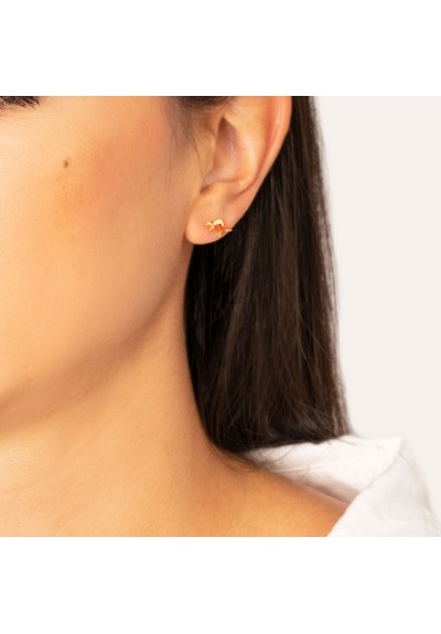 Σκουλαρίκια S-29-G