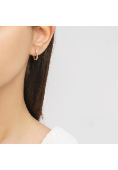 Σκουλαρίκια S-40-AS-S